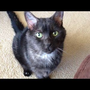 Meet your Posher, Amy